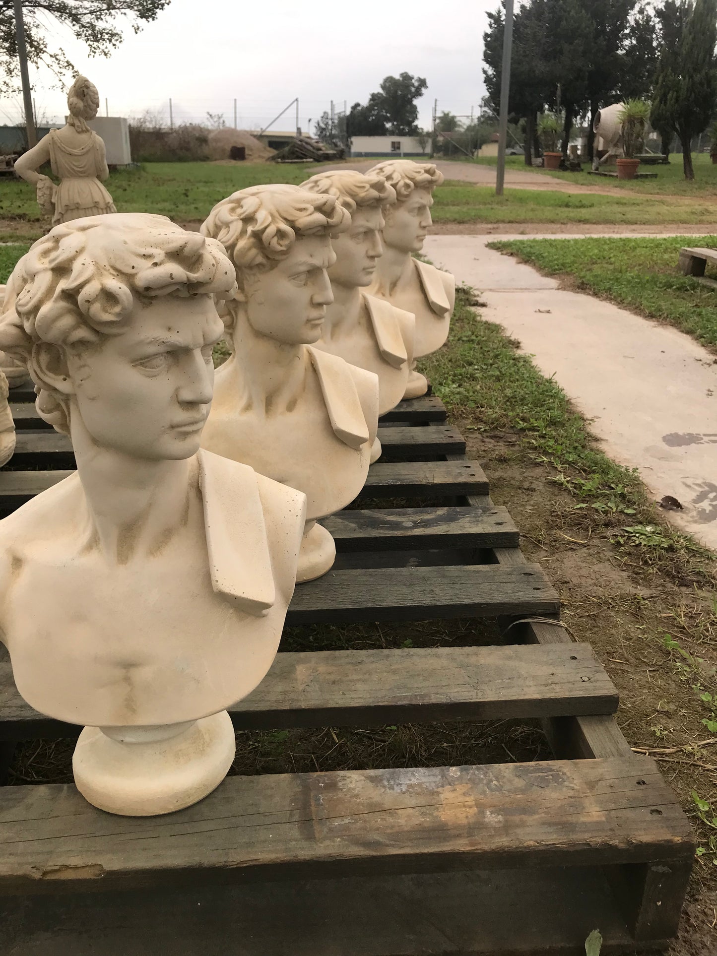 Bust of David