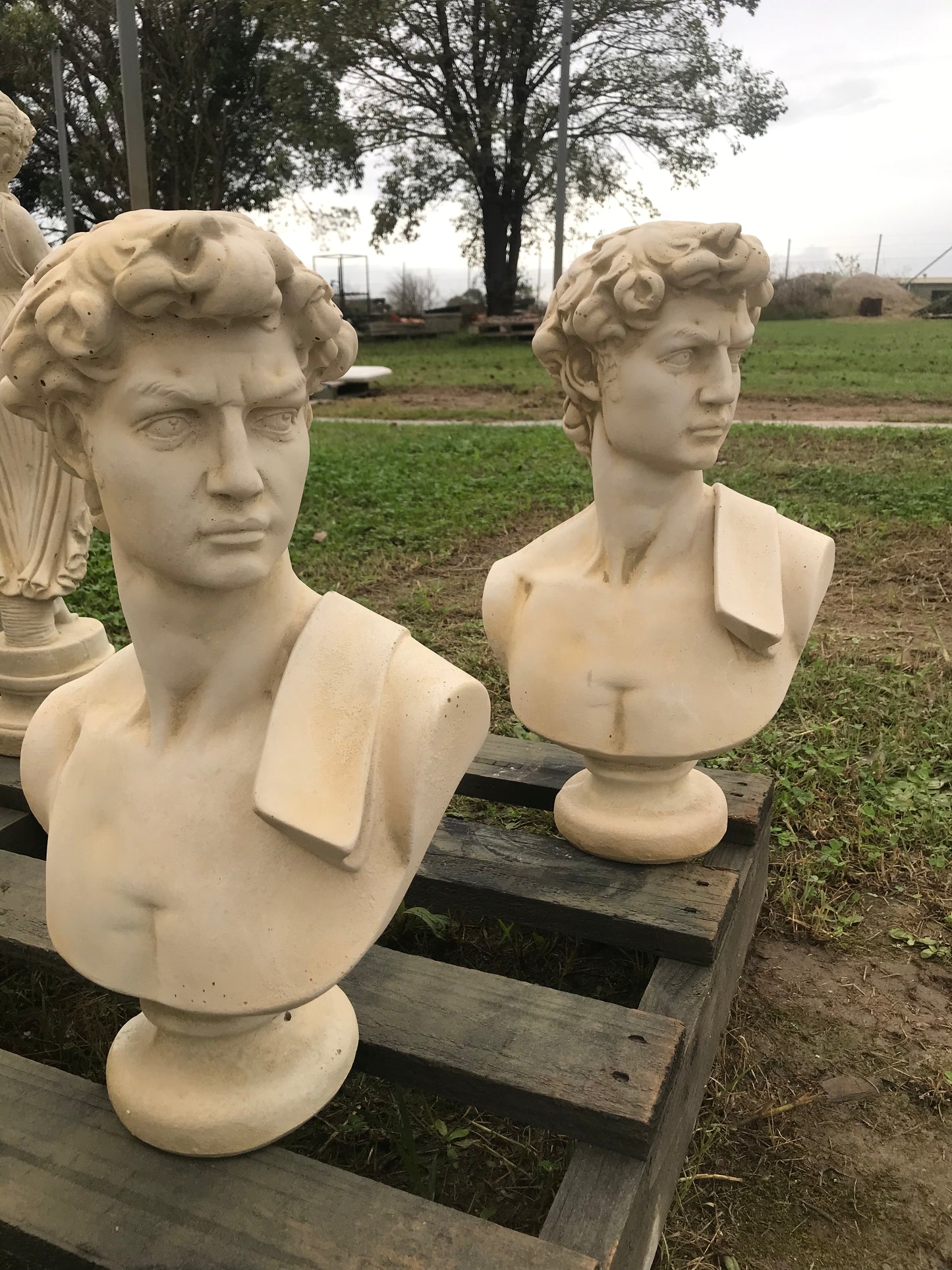 Bust of David
