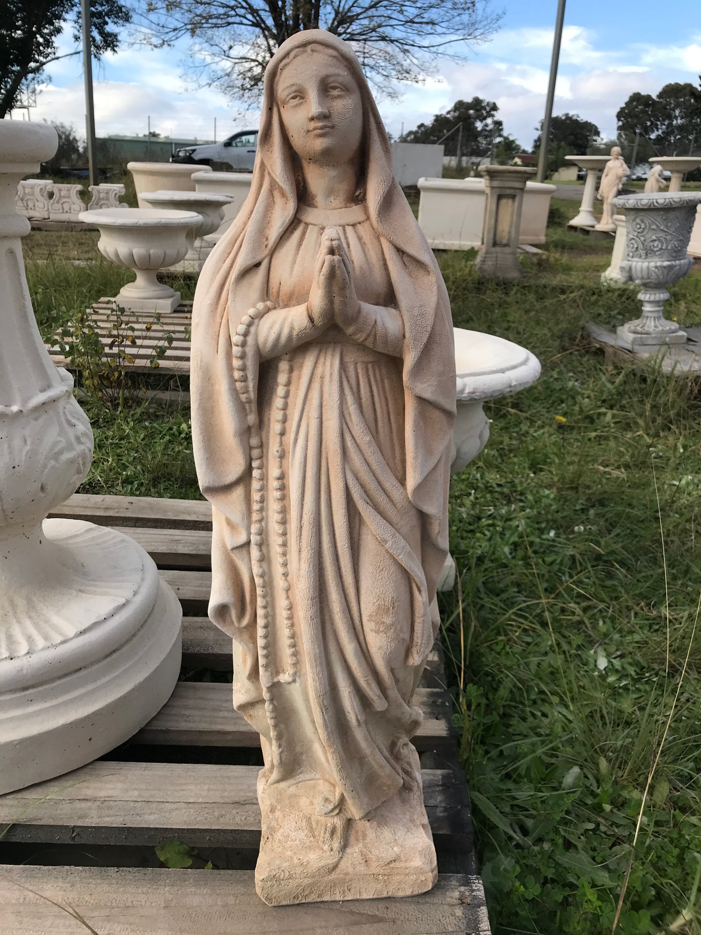 Madonna C